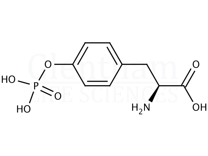 Structure for O-Phospho-L-tyrosine