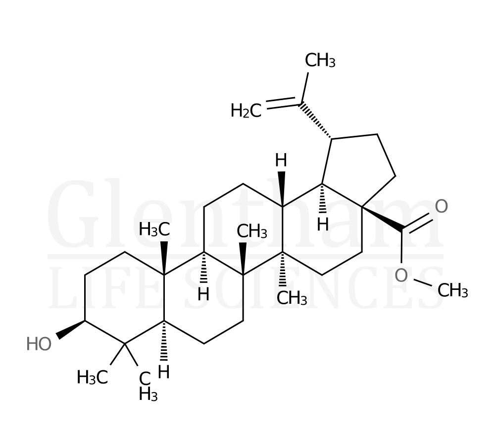 Structure for Betulinic acid methyl ester