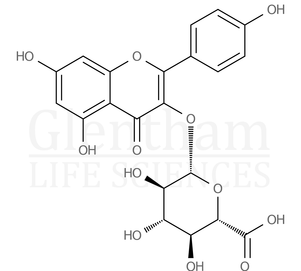 Kaempferol 3-glucuronide Structure