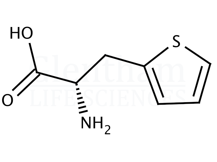 Structure for 3-(2-Thienyl)-L-alanine  