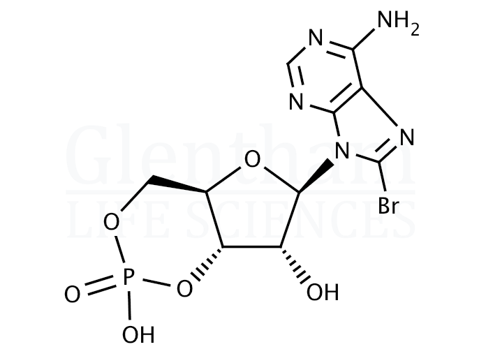 Structure for 8-Bromoadenosine 3'',5''-cyclic monophosphate