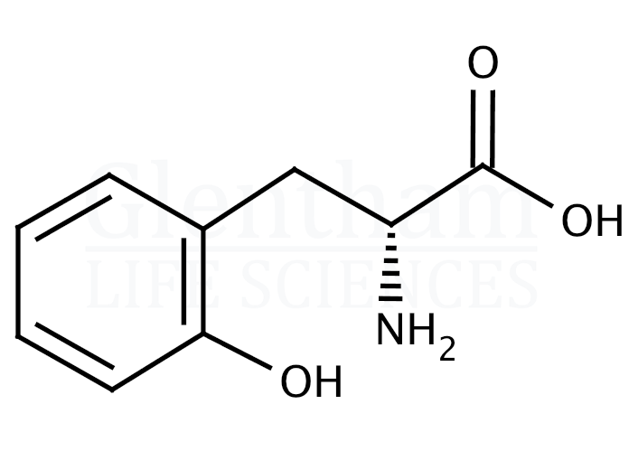 Large structure for (+)-o-Tyrosine (24008-77-3)