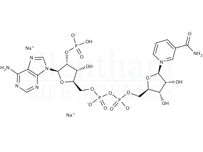 Large structure for beta-Nicotinamide adenine dinucleotide phosphate disodium salt (24292-60-2)