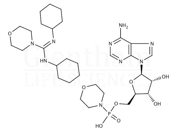 Structure for Adenosine 5′-monophosphomorpholidate 4-morpholine-N,N′-dicyclohexylcarboxamidine salt