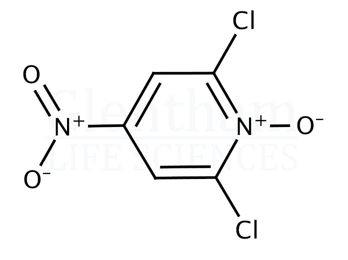 2,6-Dichloro-4-nitropyridine-1-oxide Structure