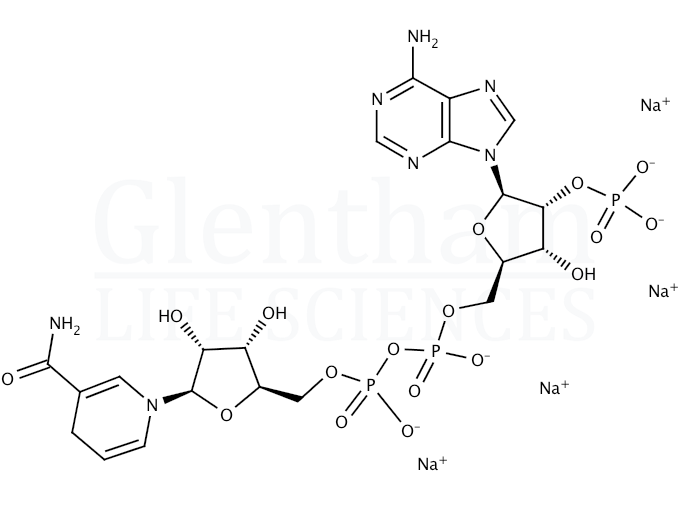 b-Nicotinamide-adenine dinucleotide phosphate tetrasodium salt, reduced Structure