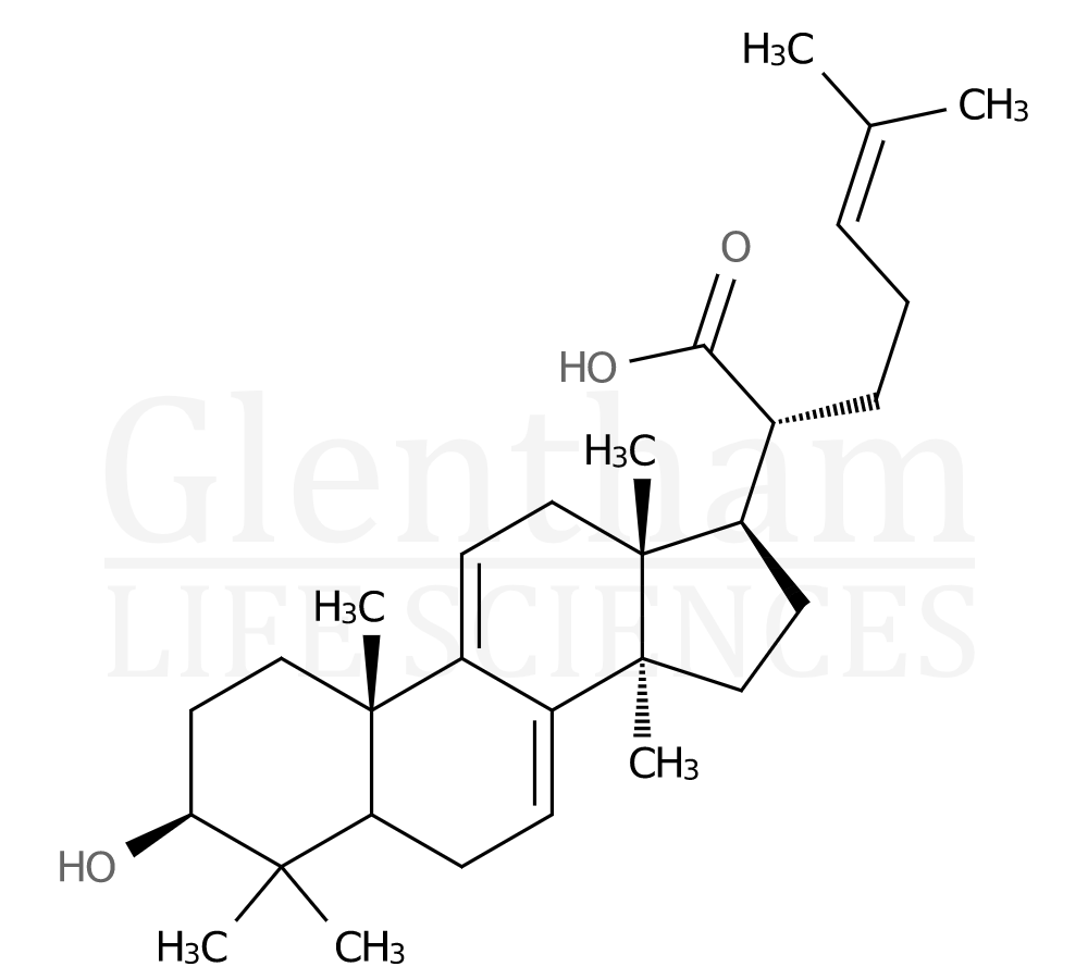 Dehydrotrametenolic acid Structure