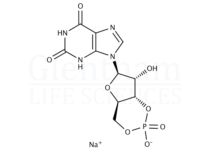 Xanthosine 3′,5′-cyclic monophosphate Structure