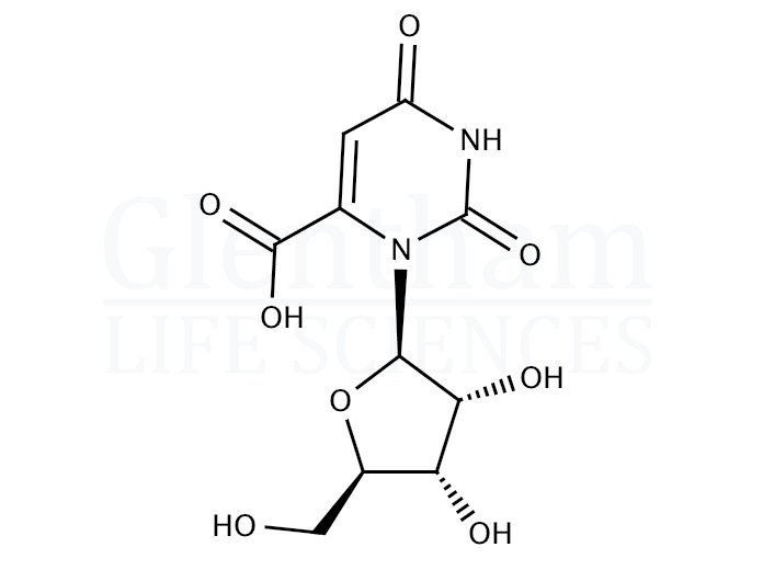 Structure for Orotidine