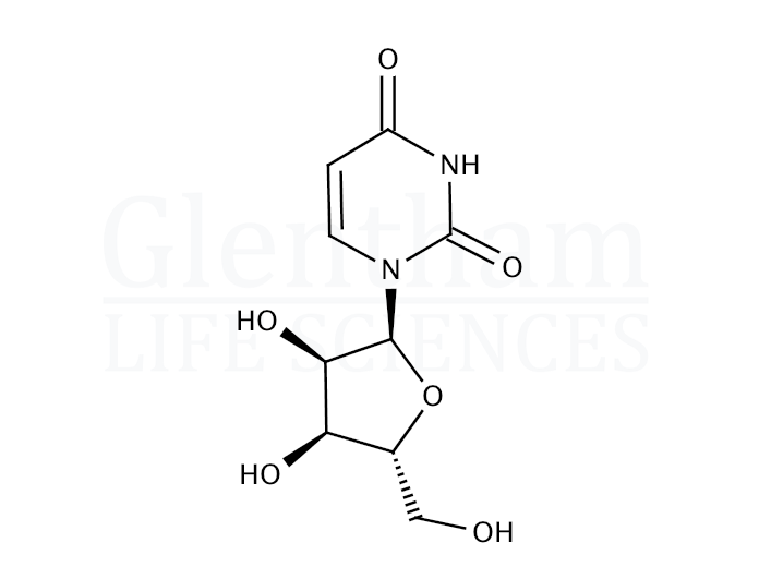 1-(a-D-Ribofuranosyl)uracil Structure