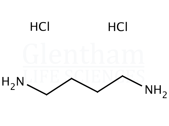 Putrescine dihydrochloride Structure