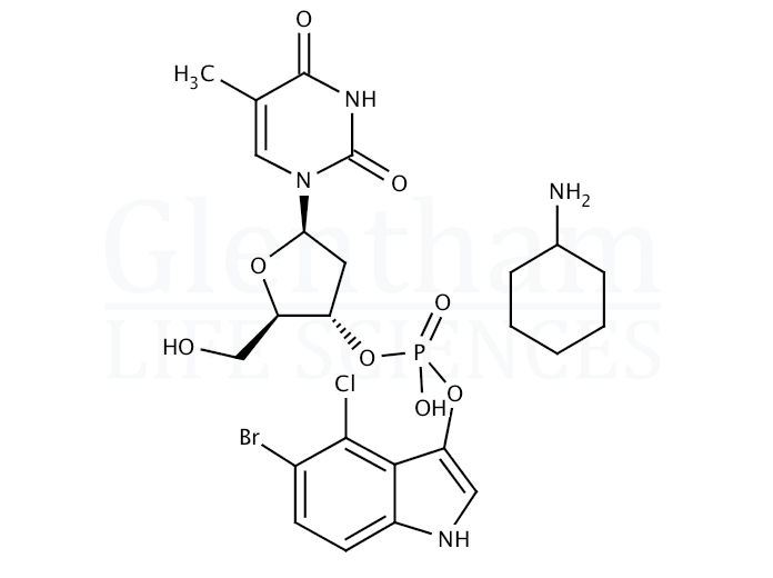 Large structure for  5-Bromo-4-chloro-3-indolyl thymidine-3''-phosphate cyclohexylammonium salt  (341973-00-0)