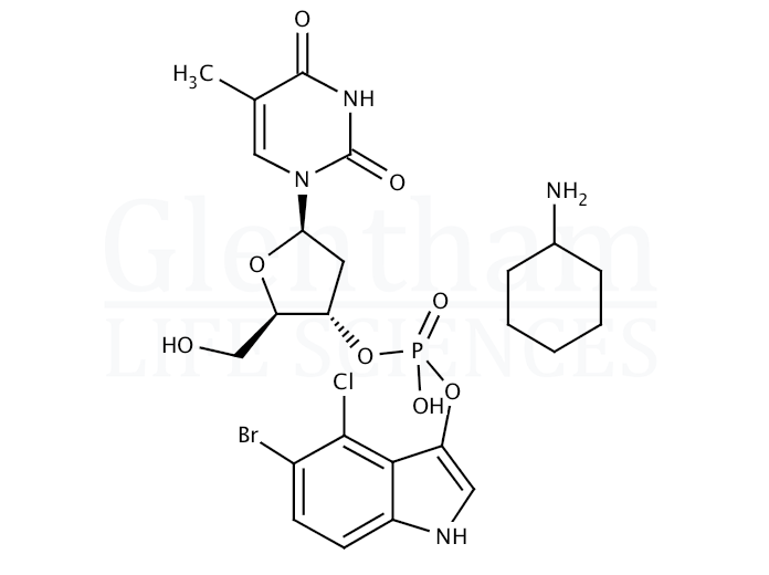 Structure for  5-Bromo-4-chloro-3-indolyl thymidine-3''-phosphate cyclohexylammonium salt  (341973-00-0)