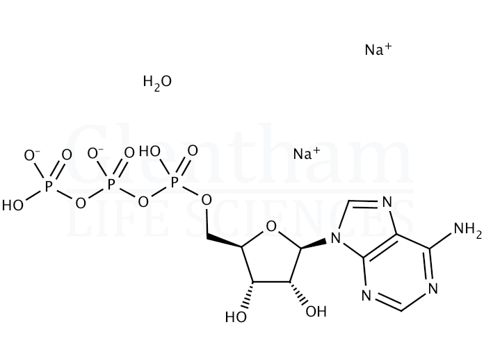 Adenosine  5''-triphosphate disodium salt hydrate Structure