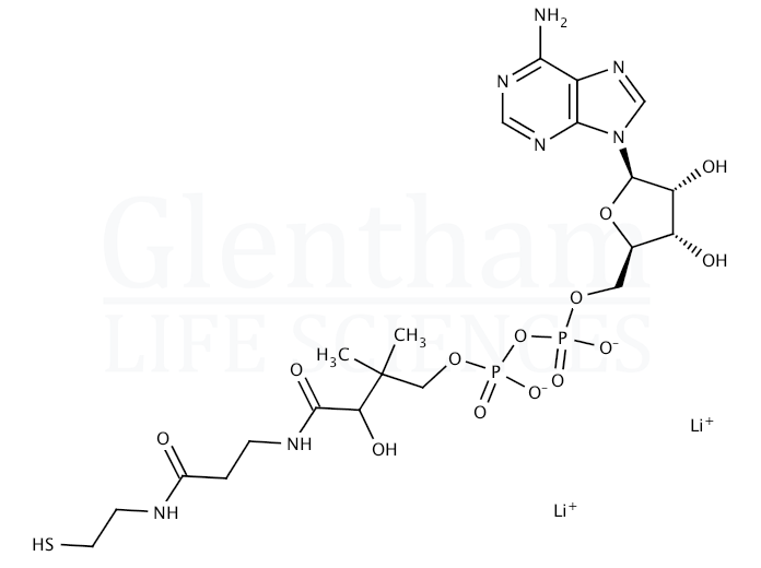 3''-Dephosphocoenzyme A Structure