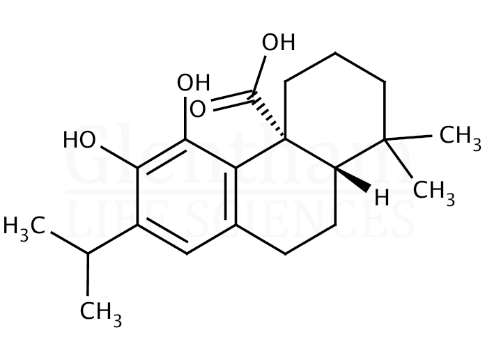 Structure for Carnosic acid
