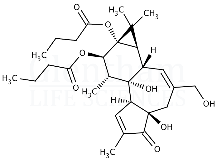 Large structure for  Phorbol 12,13-dibutyrate  (37558-16-0)