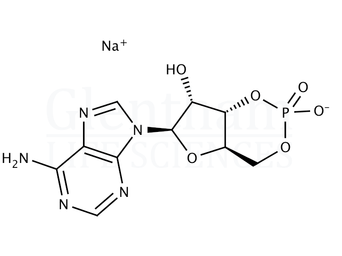 Adenosine-3'',5''-cyclic monophosphate sodium salt Structure