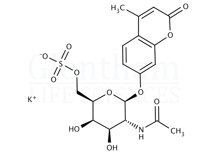 Structure for 4-Methylumbelliferyl 2-acetamido-2-deoxy-b-D-galactopyranoside 6 sulphate potassium salt
