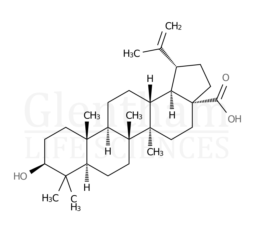 Structure for 3-Epibetulinic acid