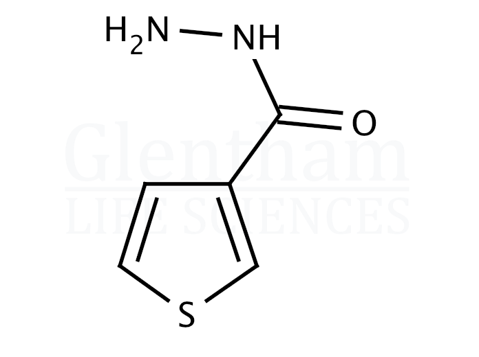 Thiophene-3-carboxylic acid hydrazide Structure