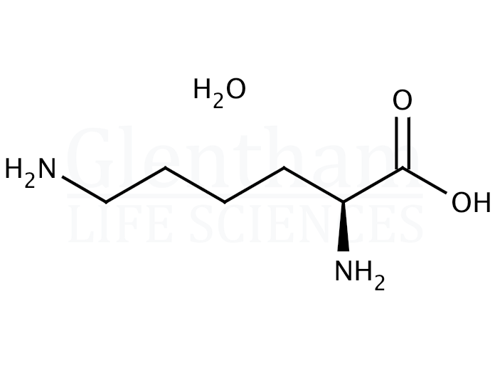L-Lysine monohydrate, 99% Structure