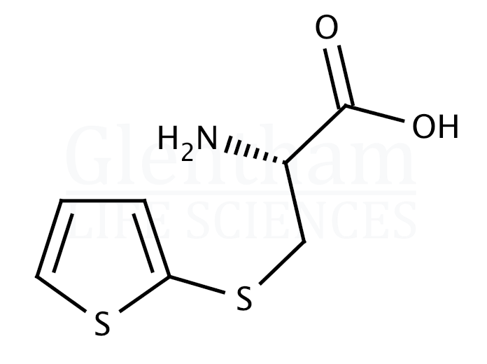 S-(2-Thienyl)-L-cysteine Structure