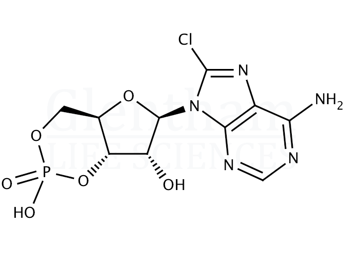 Structure for 8-Chloroadenosine-cyclic-3'',5''-monophosphate dihydrate