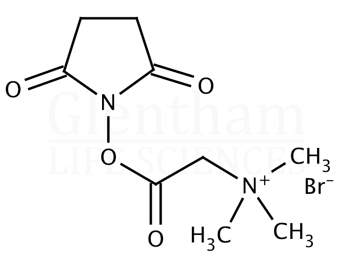 N,N,N-Trimethylglycine-N-Hydroxysuccinimide ester bromide Structure