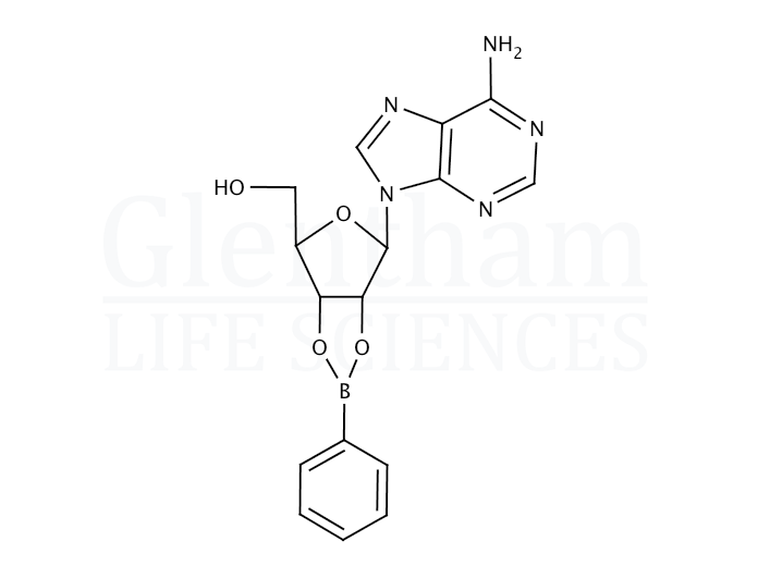 Adenosine 2'',3''-O-phenylboronate Structure