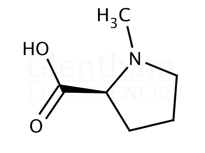 Structure for N-Methyl-L-proline