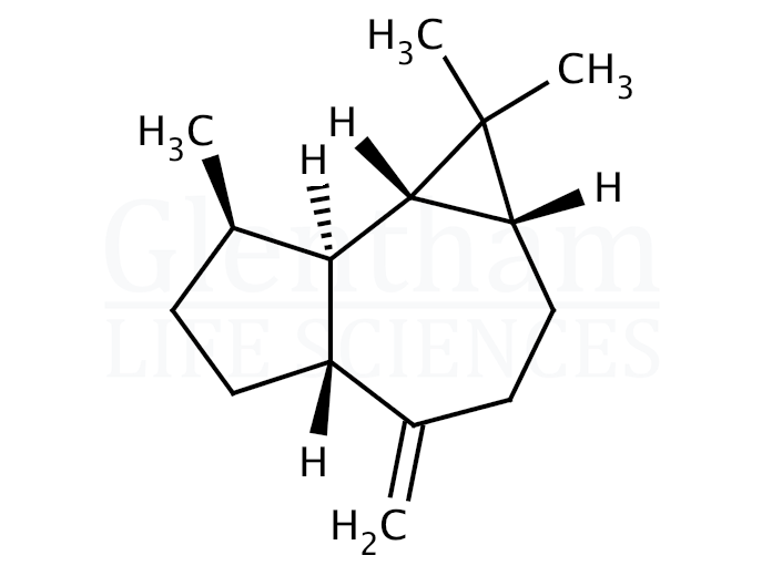 (+)-Aromadendrene Structure