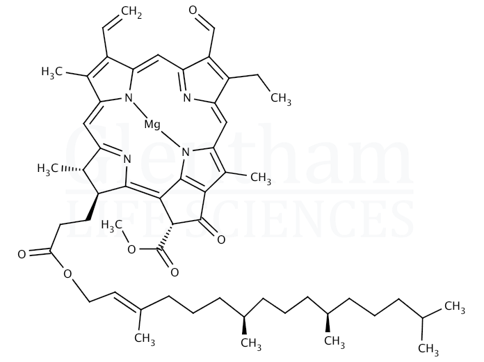 Structure for Chlorophyll b