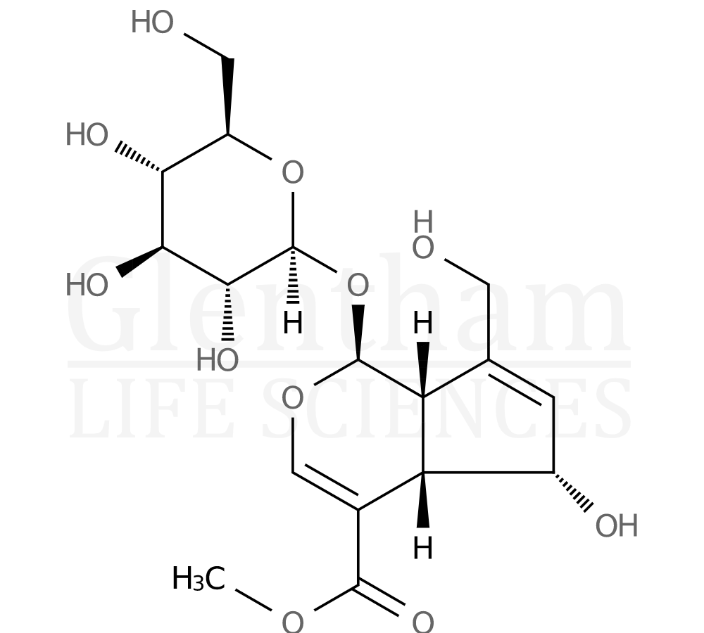 6-alpha-Hydroxygeniposide Structure