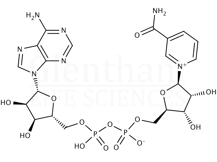 Structure for beta-Nicotinamide adenine dinucleotide (53-84-9)