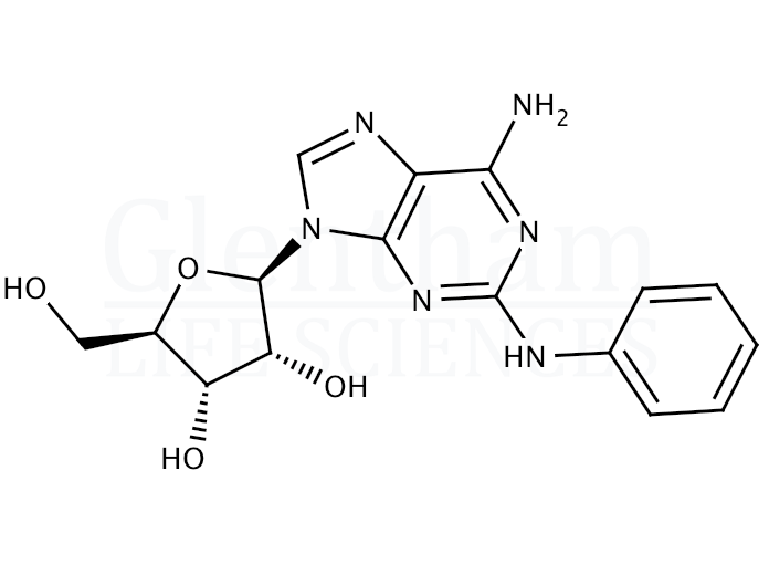 2-Phenylaminoadenosine Structure