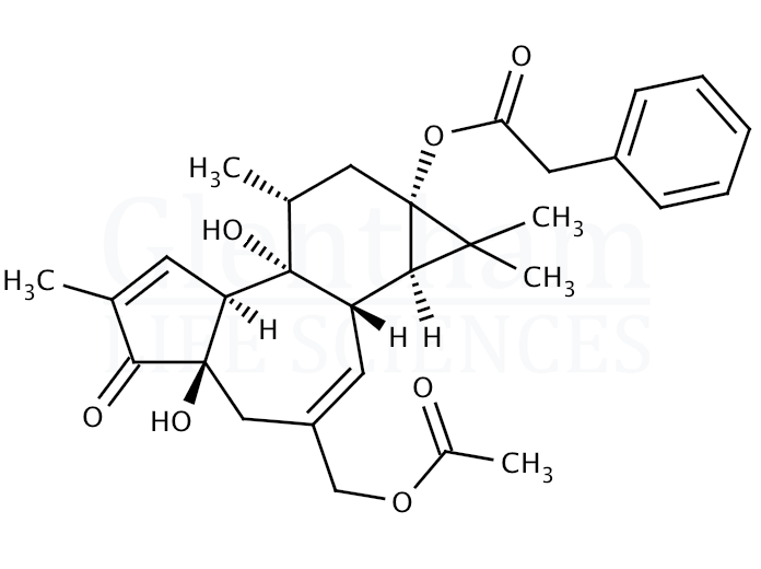 dPPA Structure