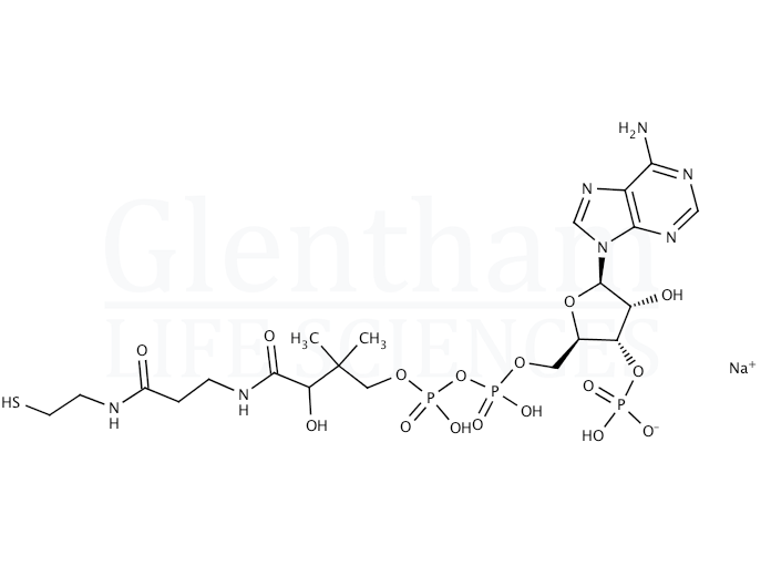 Coenzyme A sodium salt hydrate Structure