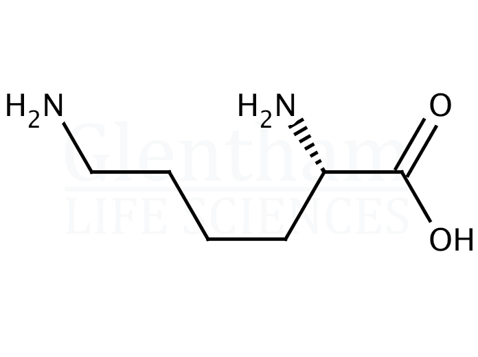 Large structure for L-Lysine (56-87-1)