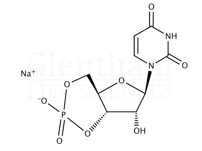 Uridine-3'',5''-cyclic monophosphate sodium salt Structure