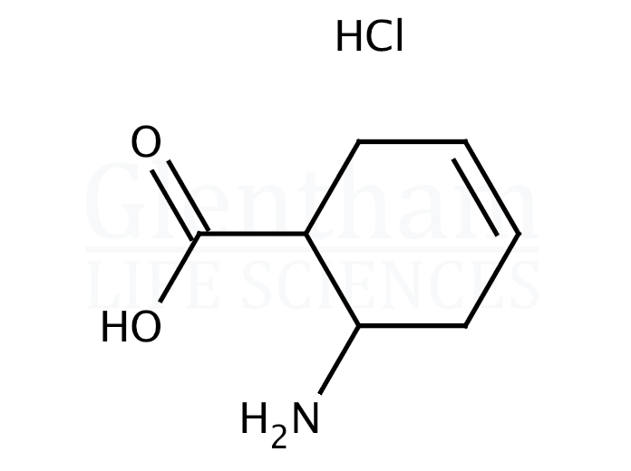 cis-6-Amino-3-cyclohexene-1-carboxylic acid hydrochloride Structure