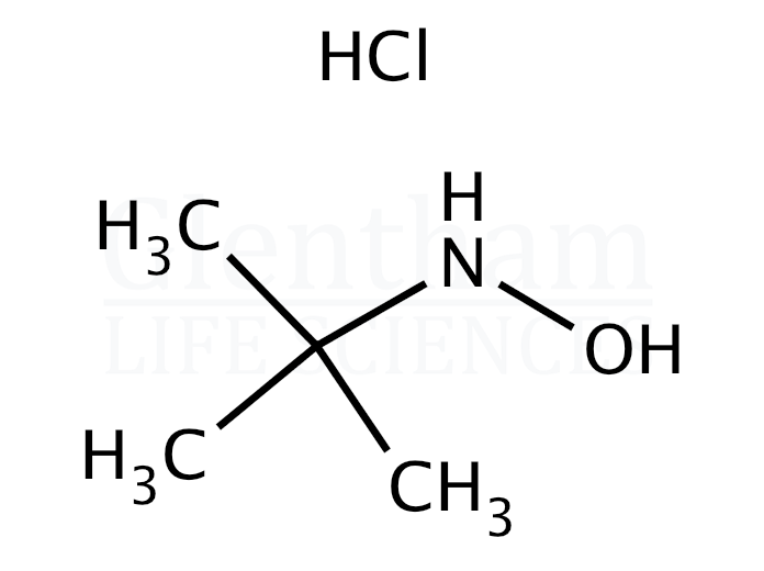N-(tert-Butyl)hydroxylamine hydrochloride Structure