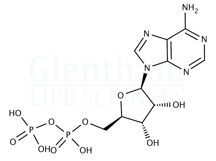 Adenosine 5''-diphosphate Structure