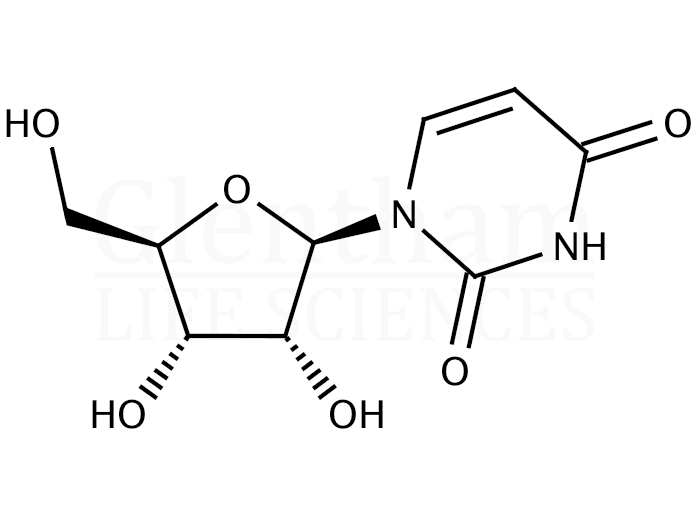 Uridine Structure