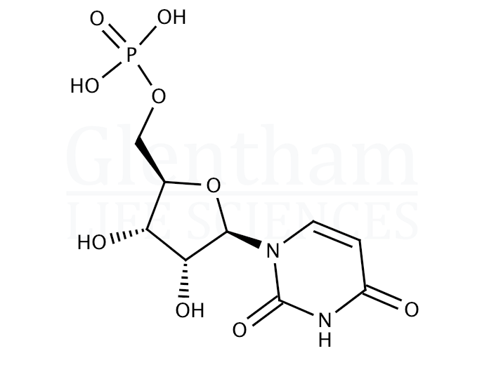 Structure for Uridine 5''-monophosphate (58-97-9)