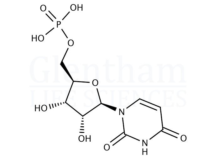 Uridine 5''-monophosphate Structure