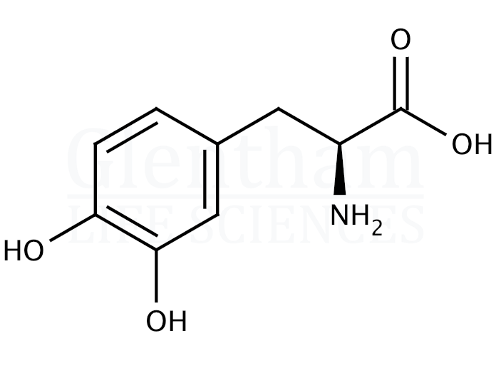 3,4-Dihydroxy-L-phenylalanine Structure