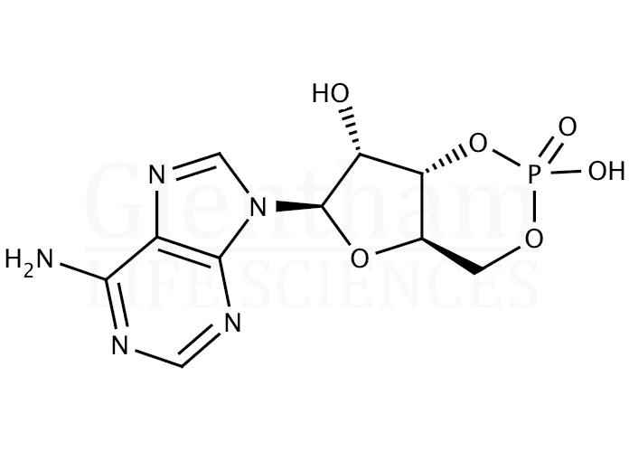 Structure for Adenosine 3''-,5''-cyclic monophosphate