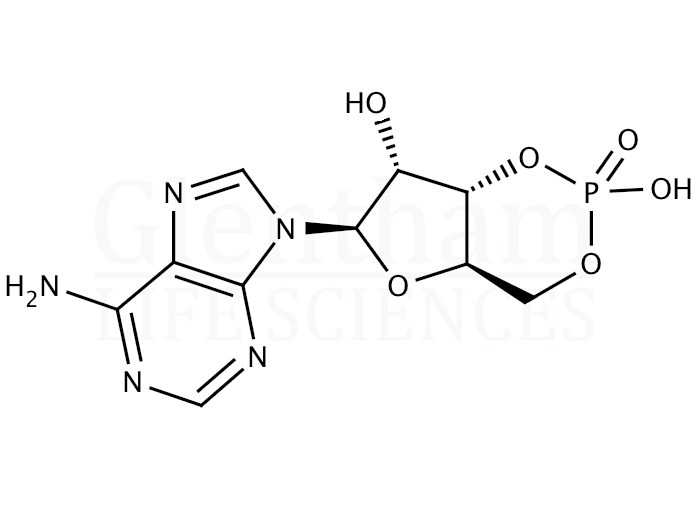 Adenosine 3''-,5''-cyclic monophosphate Structure