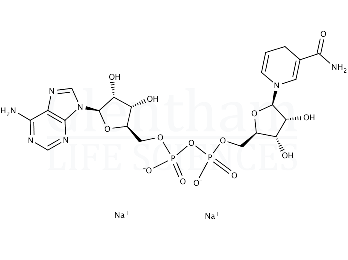 Structure for beta-Nicotinamide adenine dinucleotide reduced form, disodium salt